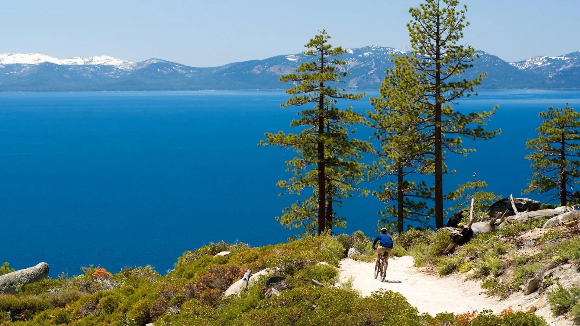 Artisan Chalet: Pet Friendly Deluxe Kitchen Games South Lake Tahoe Apartment