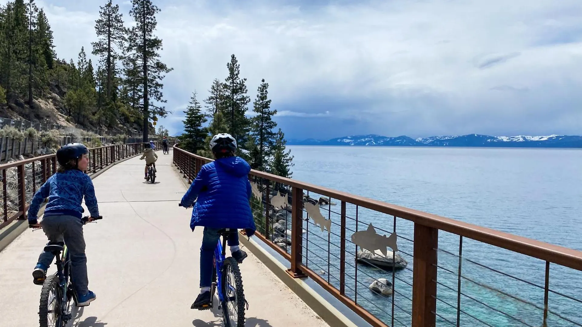 Artisan Chalet: Pet Friendly Deluxe Kitchen Games South Lake Tahoe United States